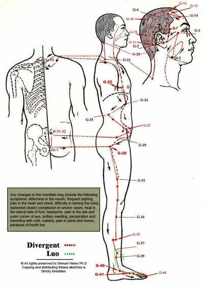 Titik Akupunktur Meridian Dan Kantung Empedu - Terapi Jarum