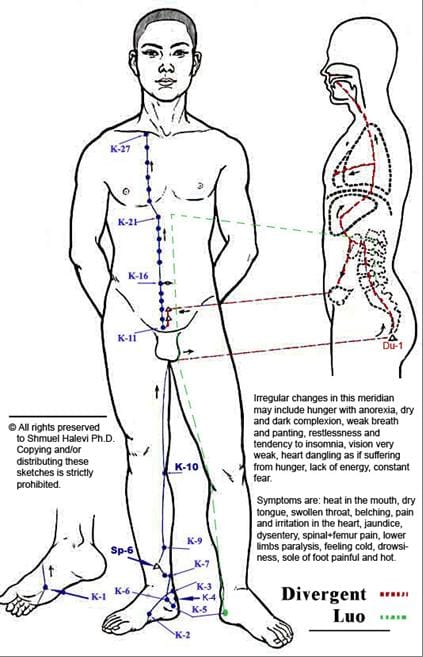 Titik Akupunktur Meridian Shen Ginjal - Terapi Jarum