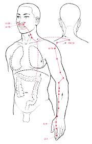 Belajar Akupuntur (Meridian Usus Besar) - Kompasiana.com