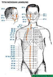 GRIYA AKUPUNKTUR MADURA: TITIK MERIDIAN LAMBUNG