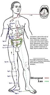 Titik Akupunktur Meridian Pi Limpa - Terapi Jarum