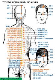 GRIYA AKUPUNKTUR MADURA: TITIK MERIDIAN KANDUNG KEMIH (BLADDER)