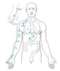 Meridian Tay Yin Tangan Paru – Galeri Akupunkturku